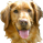 OlRedHair's avatar