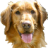 OlRedHair's avatar