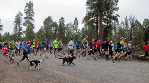 8653327432_9fc8d5df1a_z