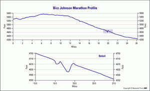 bizz_elevation_profile_marathon_small
