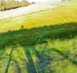 7721373304_aaf0a61149_c