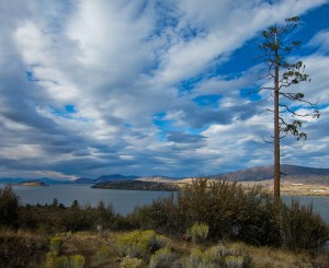 Ridgeview Trail - Moore Park